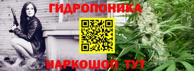 гидра Пушкино