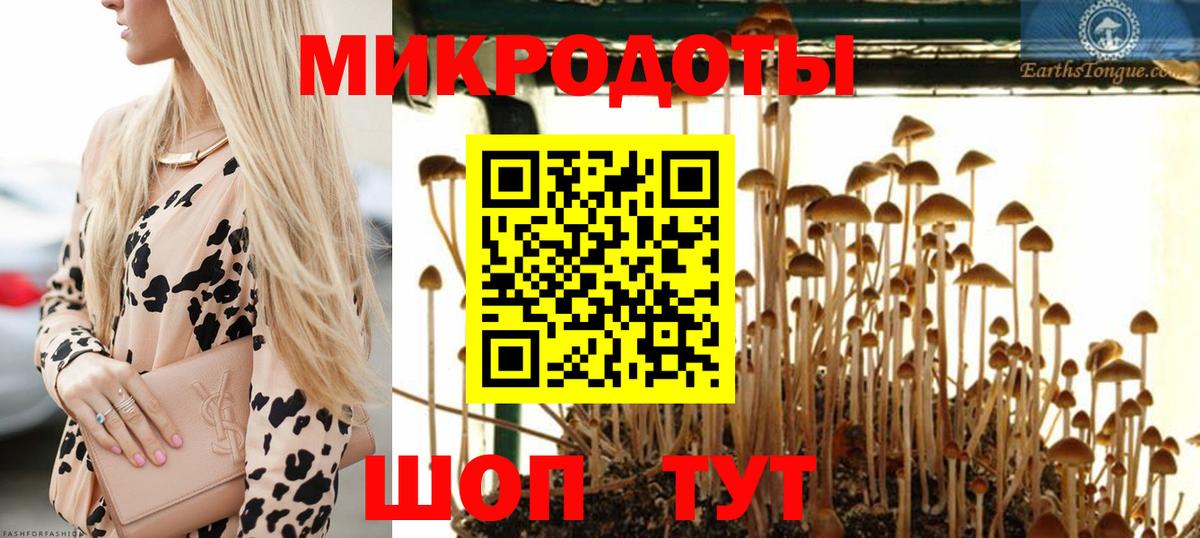 Галлюциногенные грибы Psilocybe  где купить наркоту  Советский  Вход с VPN 